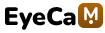 busus